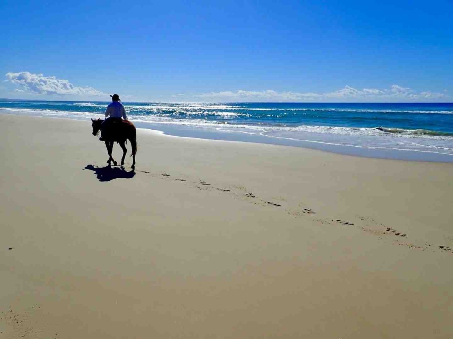 Don’t wait for ‘one day’, take a horse ride this holiday and tick it off your bucket list - no experience necessary! 