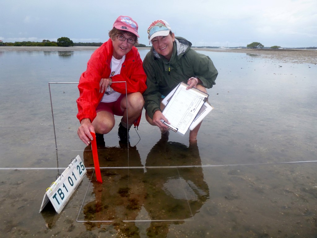 volunteer - coastcare jan 15