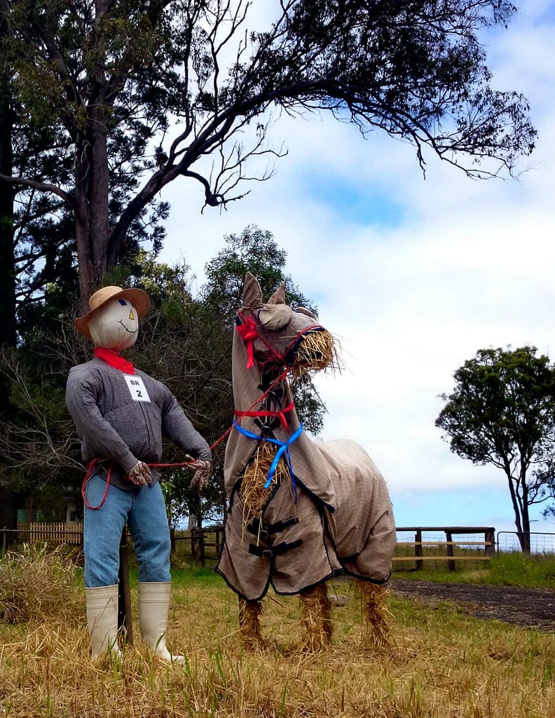 Scarecrow selfies part of 2016 Mary Valley festival post image