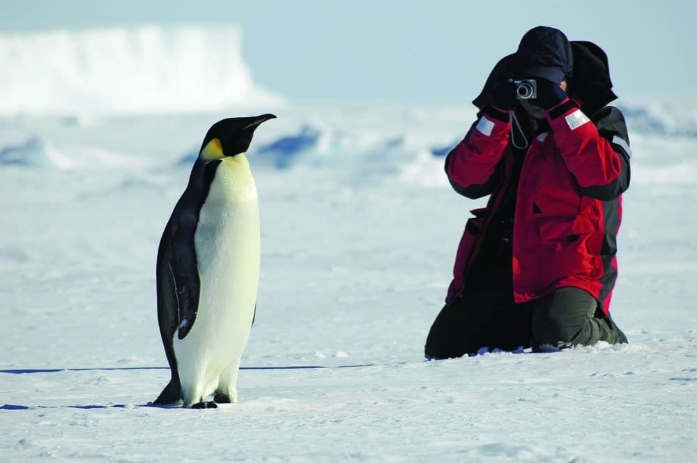 Antarctica Awaits! post image
