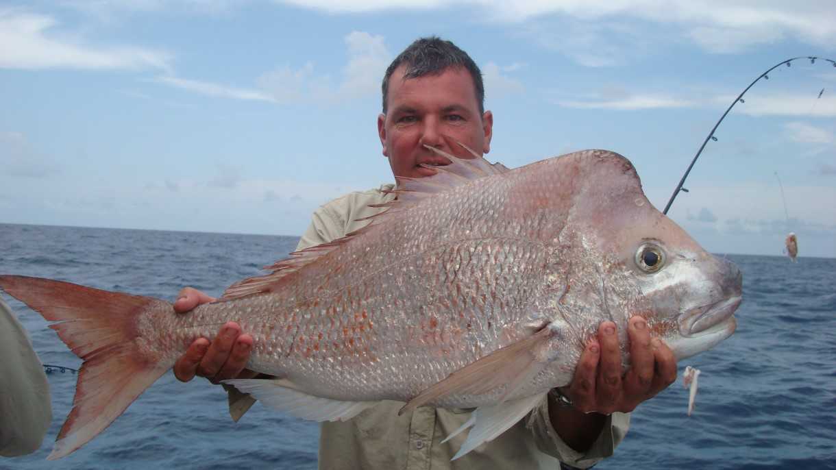 Rainbow Beach Fishing Report post image