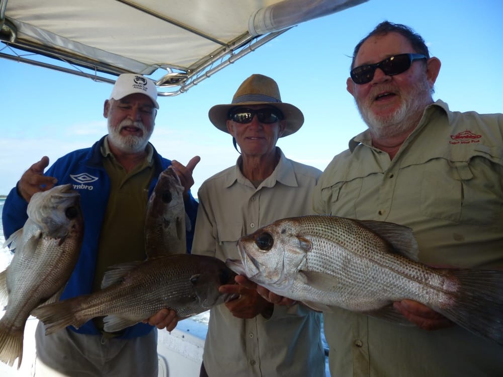 Rainbow Beach Fishing Report November 2015 post image