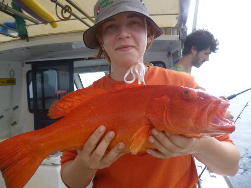 Rainbow Beach fishing report post image