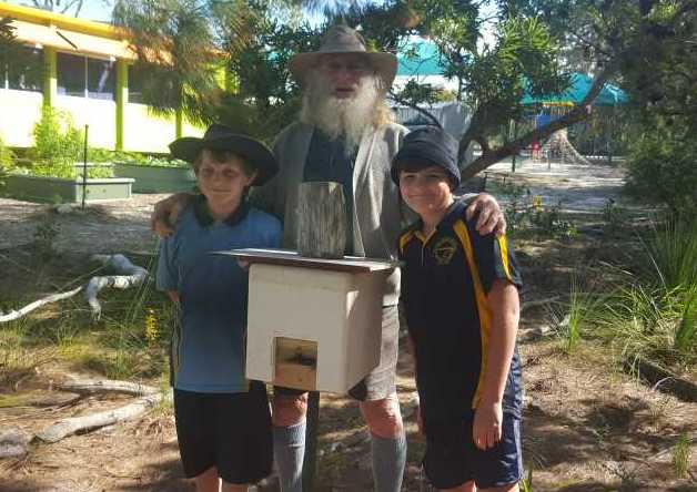 Native bees join garden post image