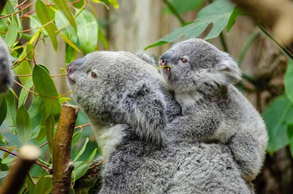 Do You Have an Interest in Biodiversity? post image