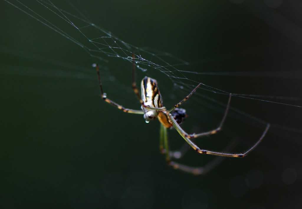 Camera Club goes back to nature post image