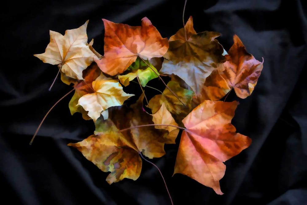 Apps for creative photography - Topaz Studio post image