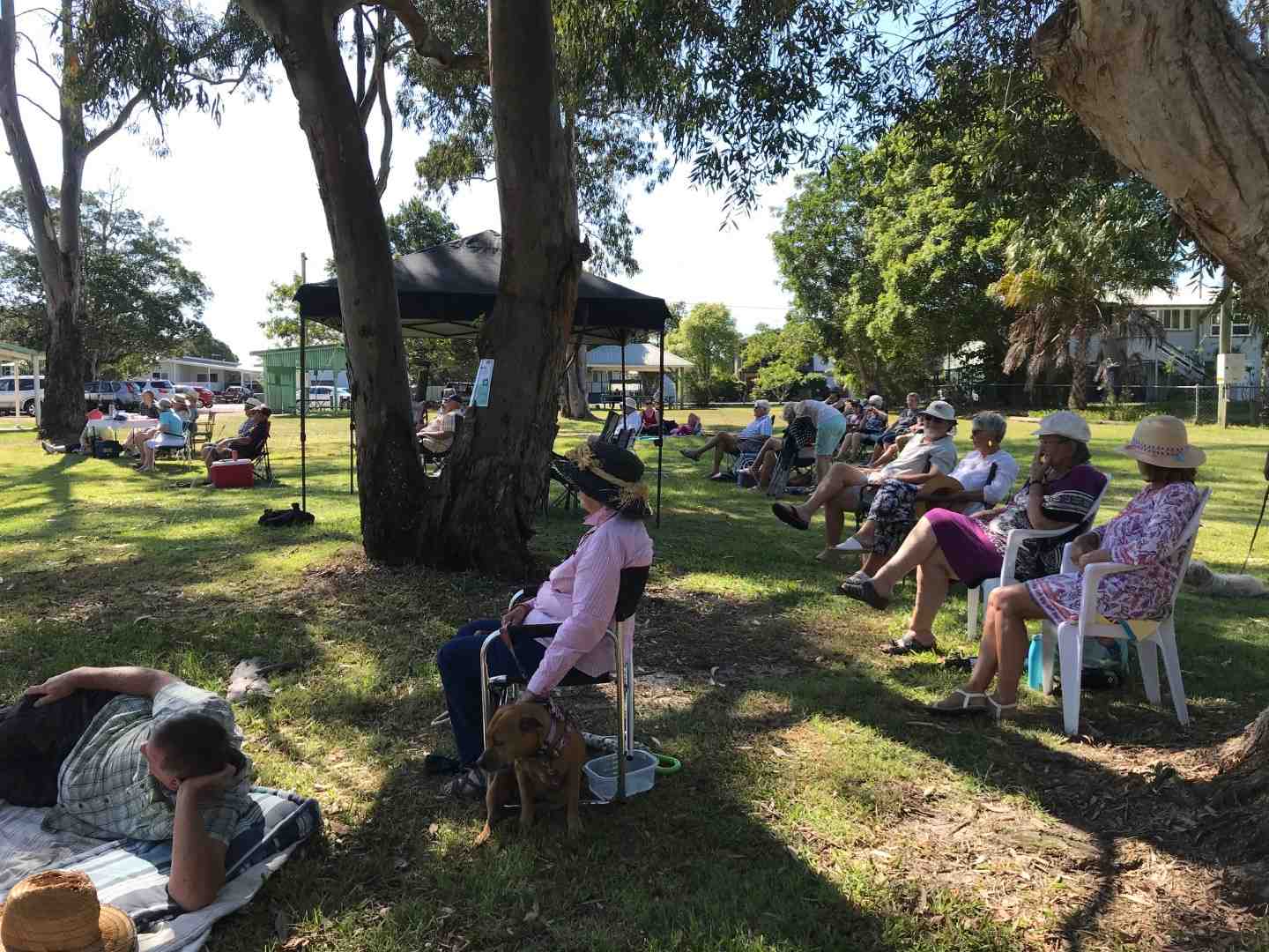 Magnificent music in the park event post image