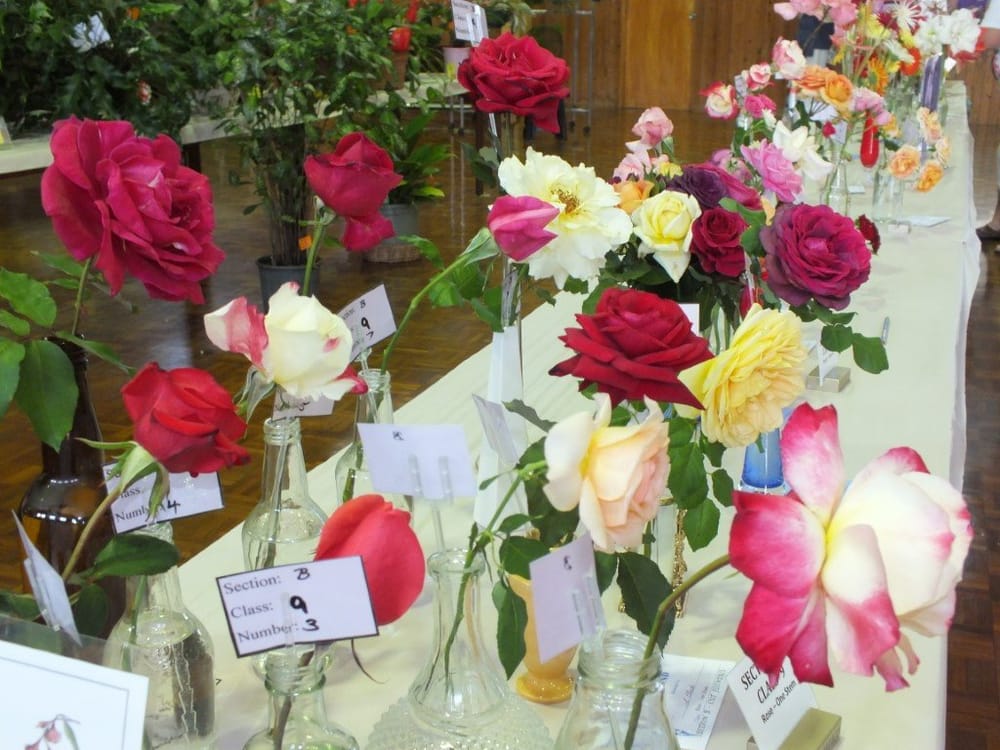 2020 Ambulance Flower Show cancelled post image