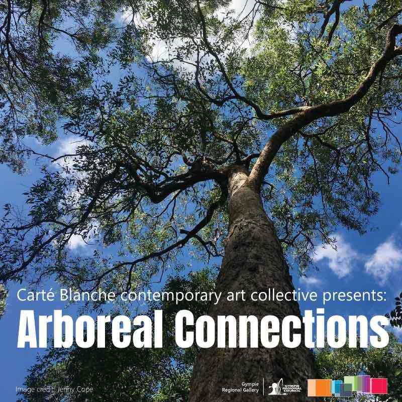Arboreal Connections at Gympie Gallery post image