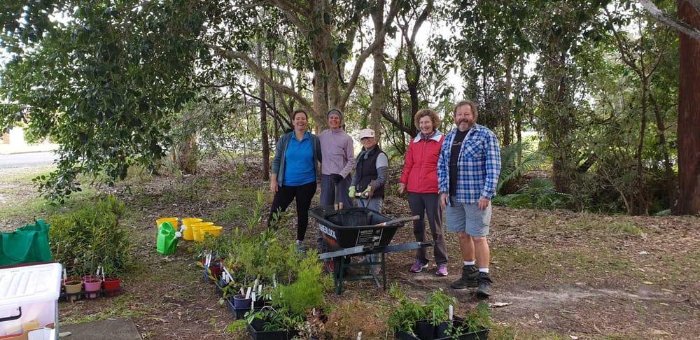 Cooloola Coastcare’s Weed Warriors plant trees for Climate Week post image