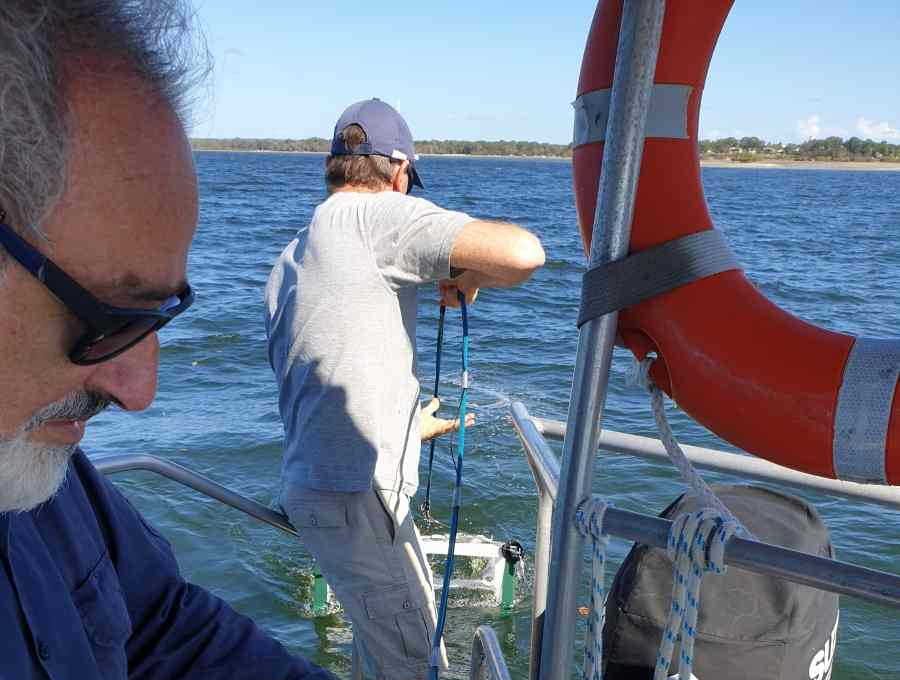Can you “sea” grass? Tell Cooloola Coastcare! post image