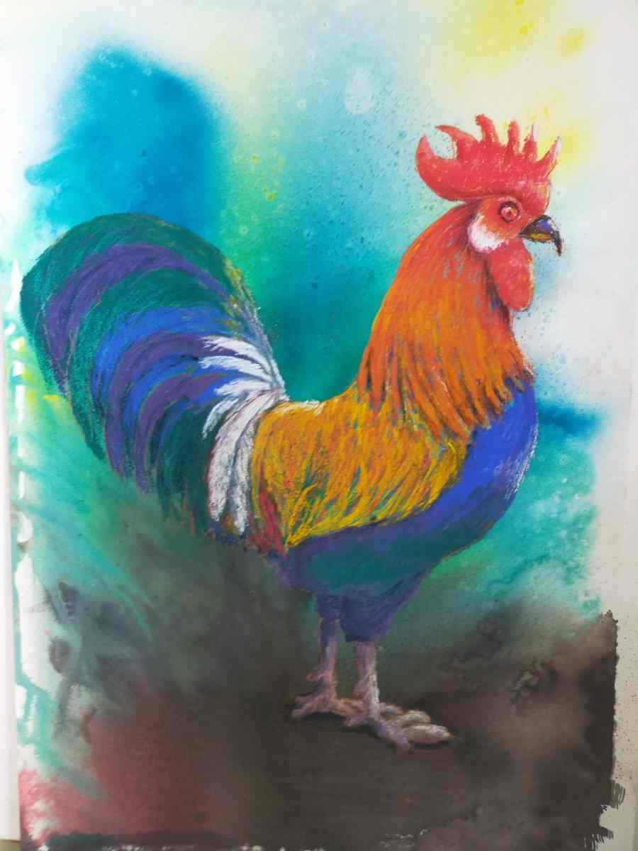 Get Arty With Cooloola Coast Art Group post image