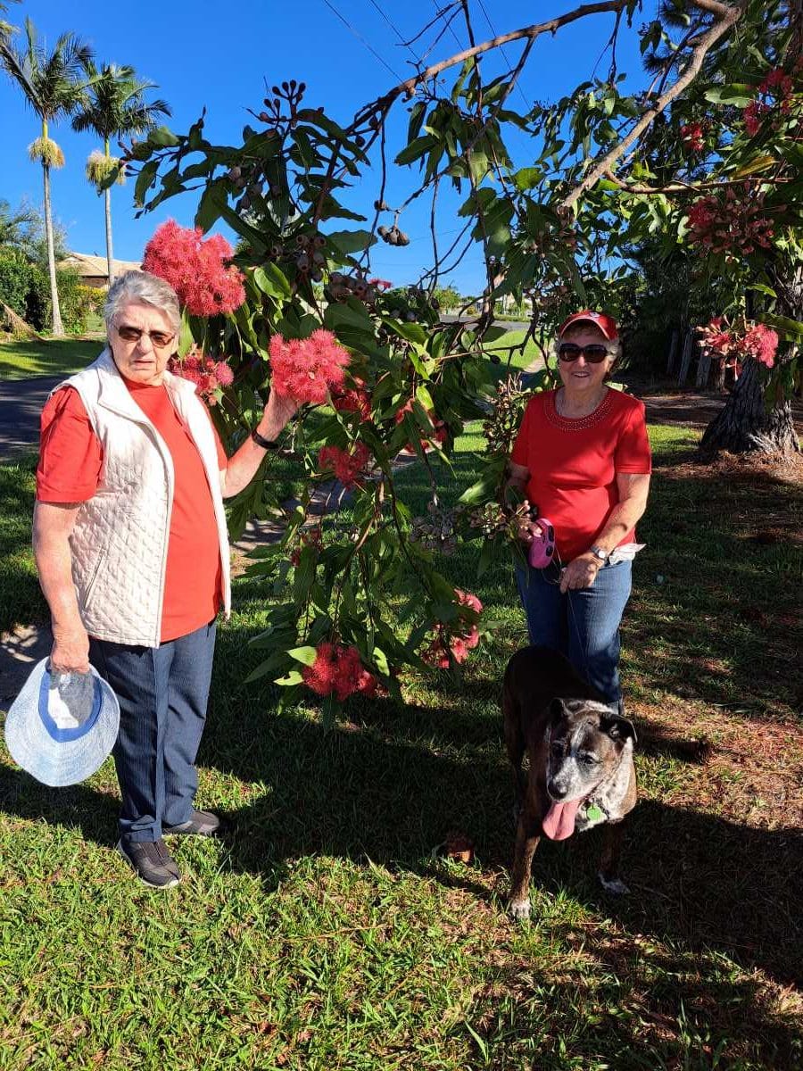 Heart Week Celebrated By Walkers post image