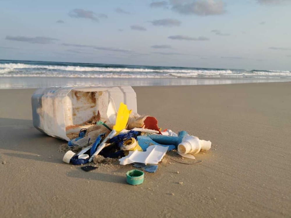 Clean Up Australia Day 2023 post image