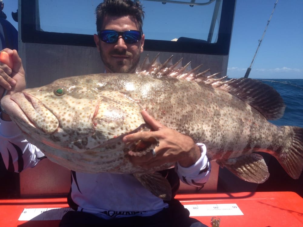 Fishing reports for Rainbow Beach and Tin Can Bay post image