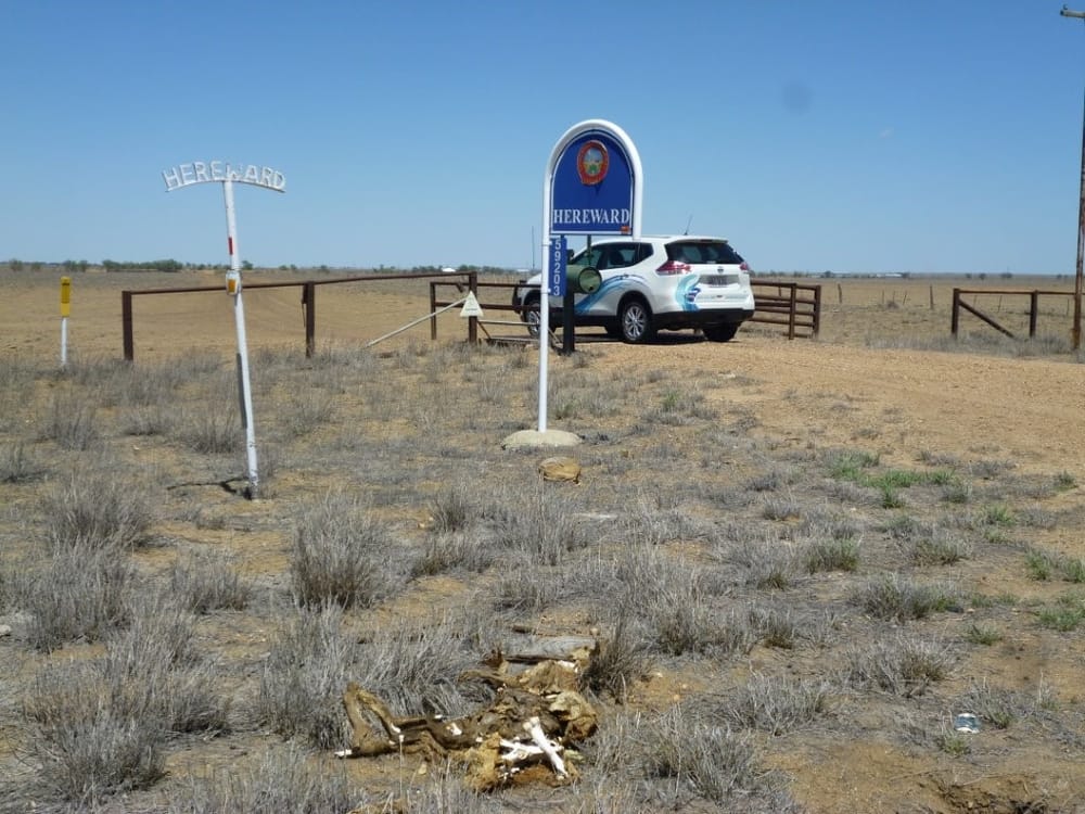 Bush to Beach kids visit in spring post image