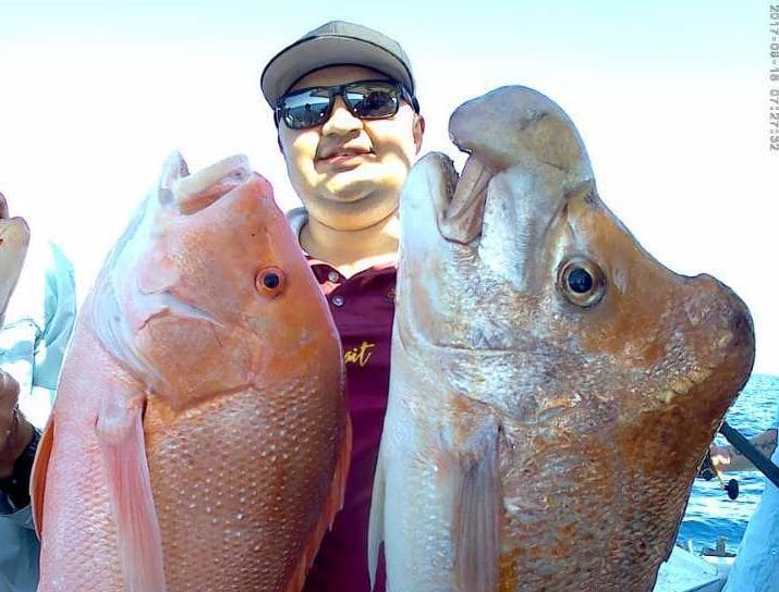 Rainbow Beach Fishing Charters post image