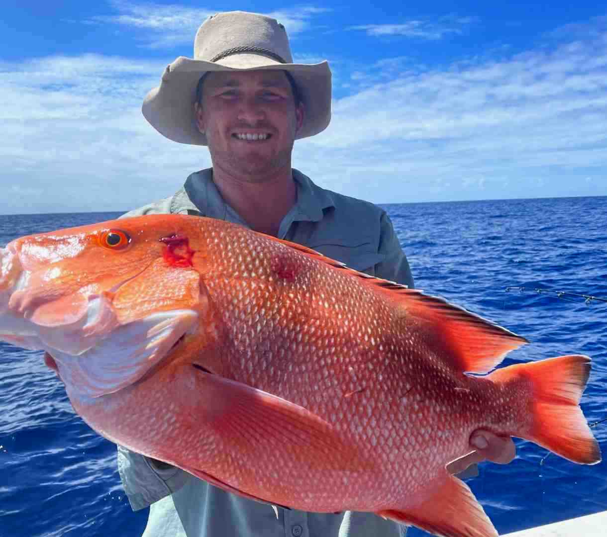 Out on Baitrunner post image