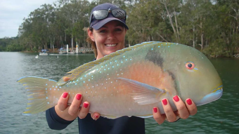 Rainbow Beach Fishing Report post image