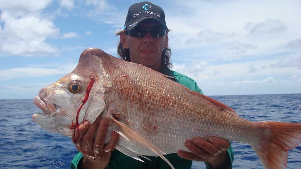 Rainbow Beach Fishing Report post image