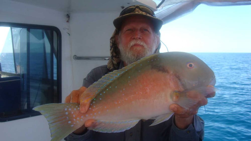 Catches from Tin Can Bay Fishing Club post image