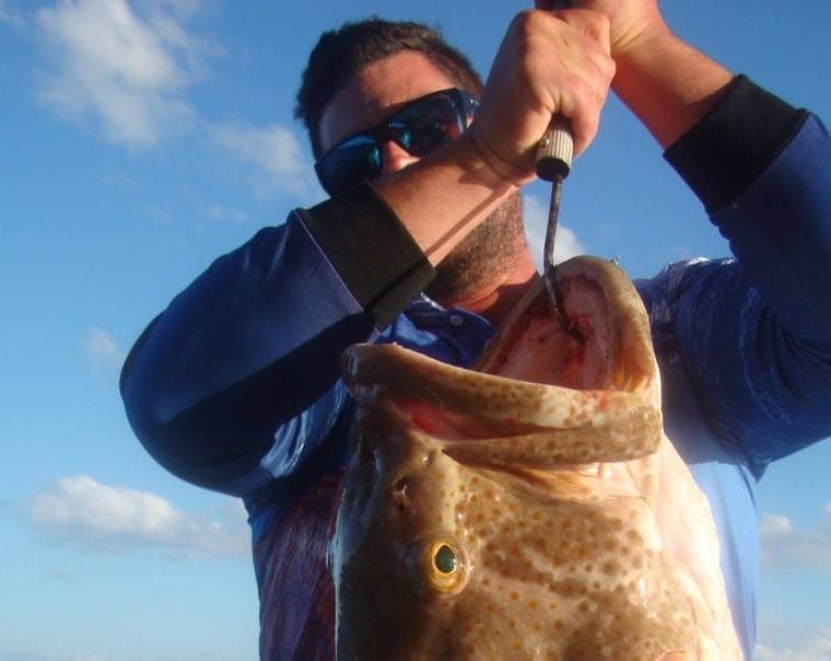Rainbow Beach Fishing Charters post image