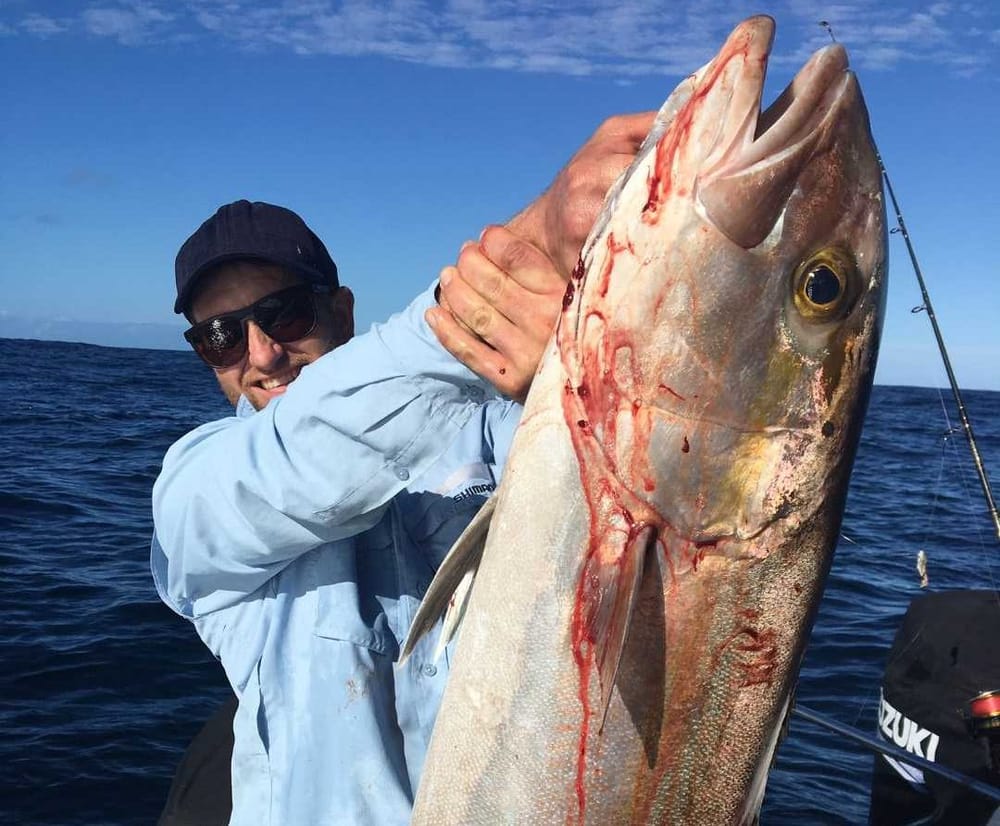 Baitrunner has been busy! post image