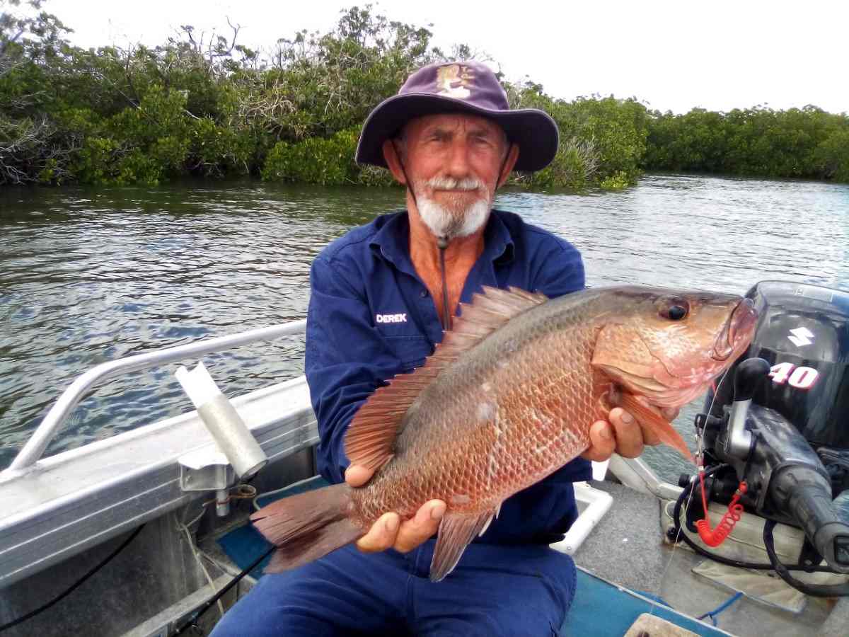 Tin Can Bay Fishing Club News January 2022 post image