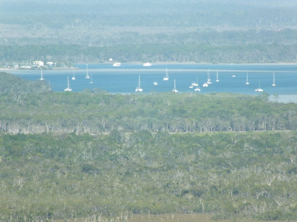 Fishing report Tin Can Bay 30/01/2015 post image