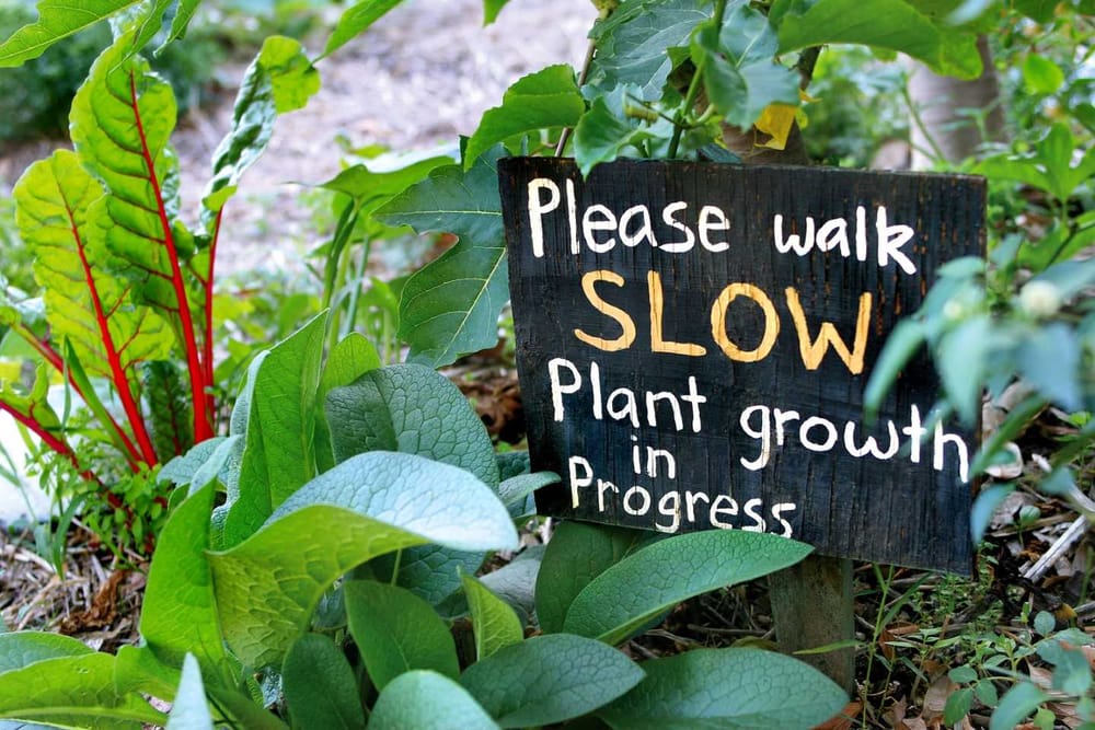 Come to the Gympie Garden Expo post image