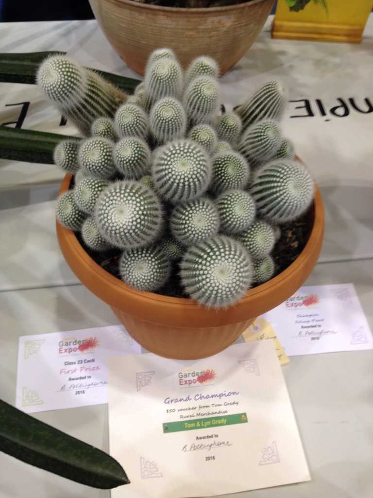 Great guest speakers and prizes at Gympie Garden Expo post image