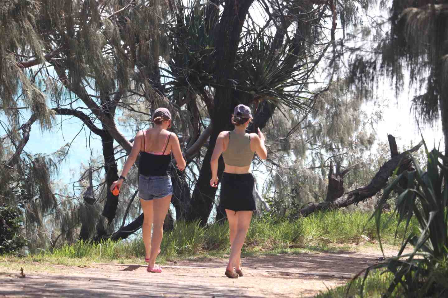 Walking is a “wonder drug” post image