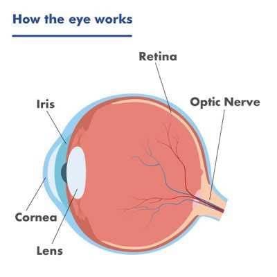Macula Awareness Month post image