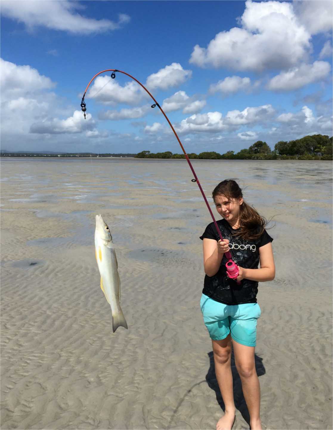 News from Tin Can Bay Fishing Club post image