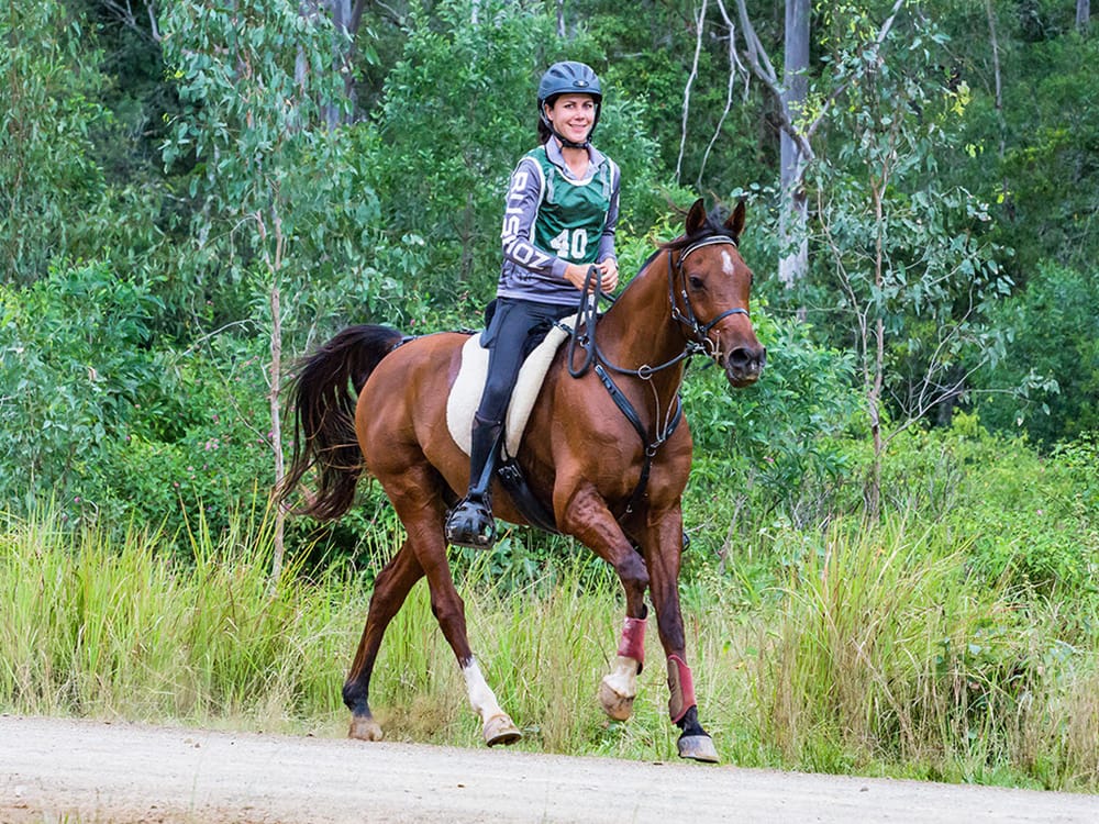 Endurance riders crank up horse power post image