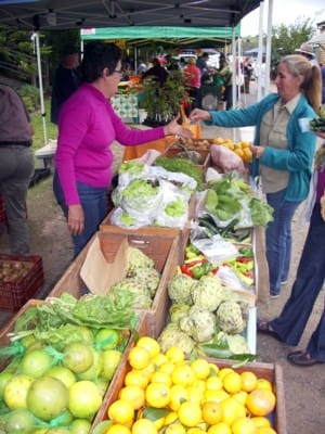 Local Co-operative receives $34,000 for Pilot Program post image