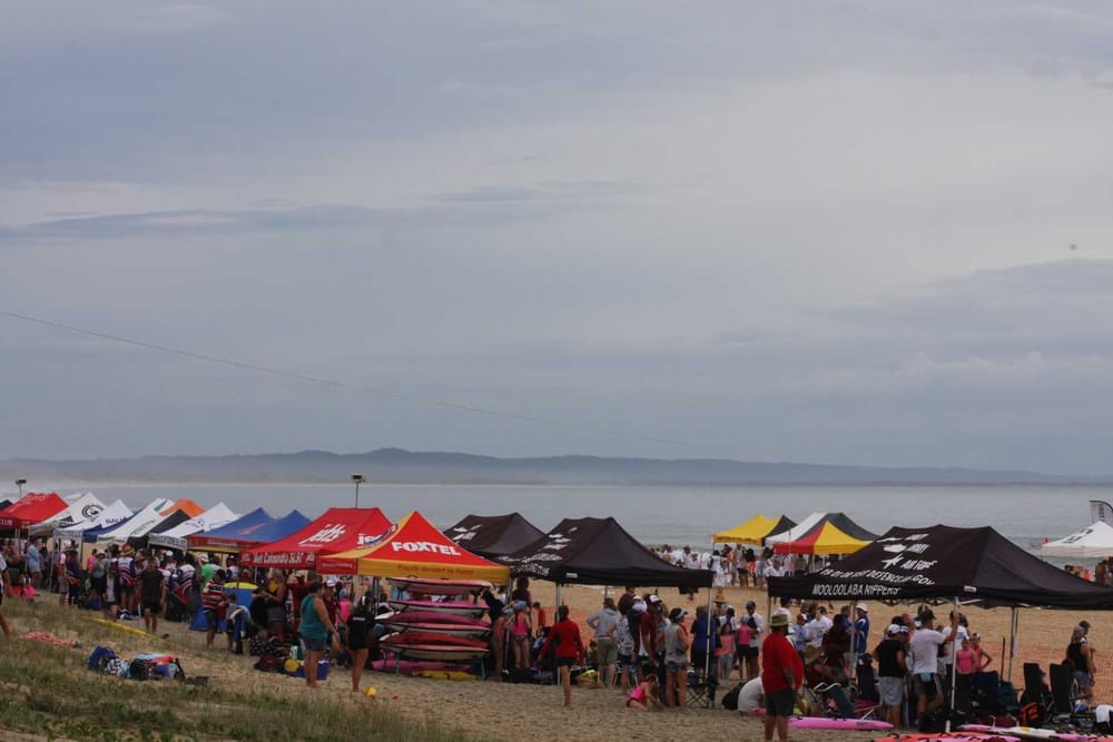 See the carnival of colours post image
