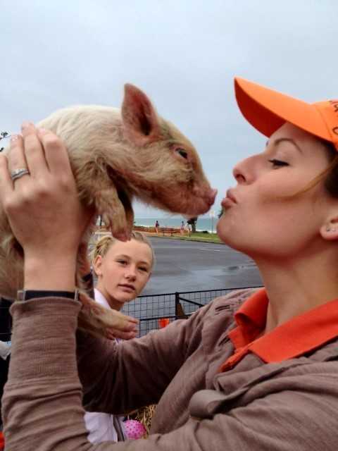 Save the date - the Pigs are coming to Rainbow Beach post image