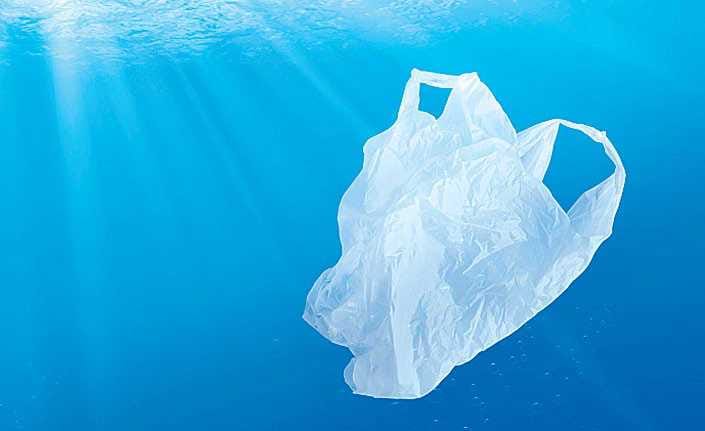 Ditch Plastic in July! post image