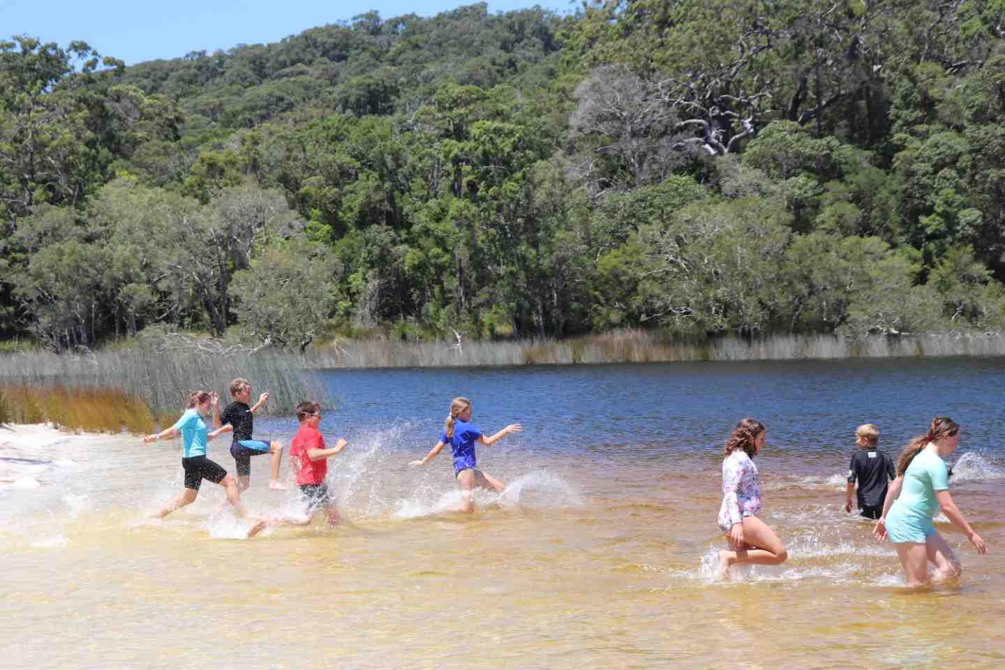What a place to have a school camp! post image