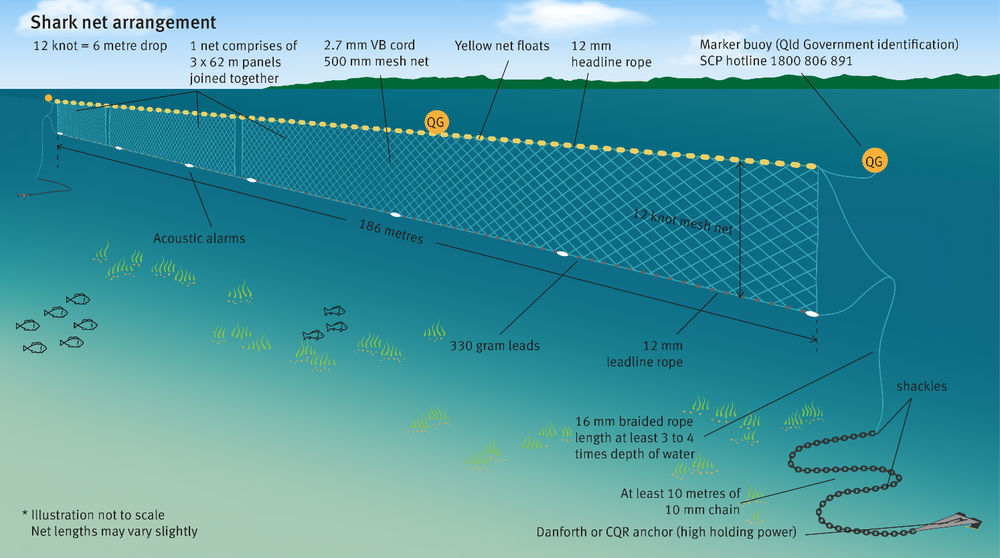 Keeping our swimmers safe post image