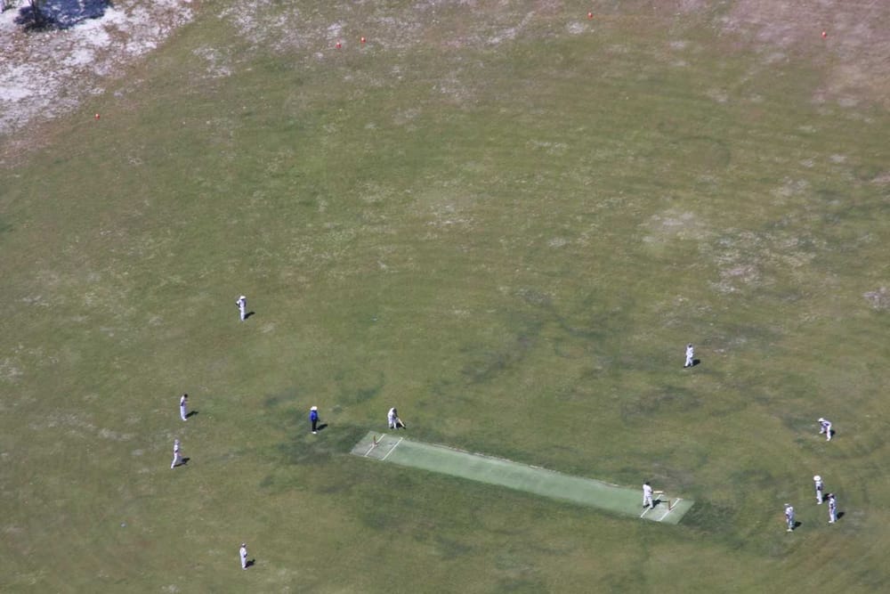 Watch a spot of cricket post image
