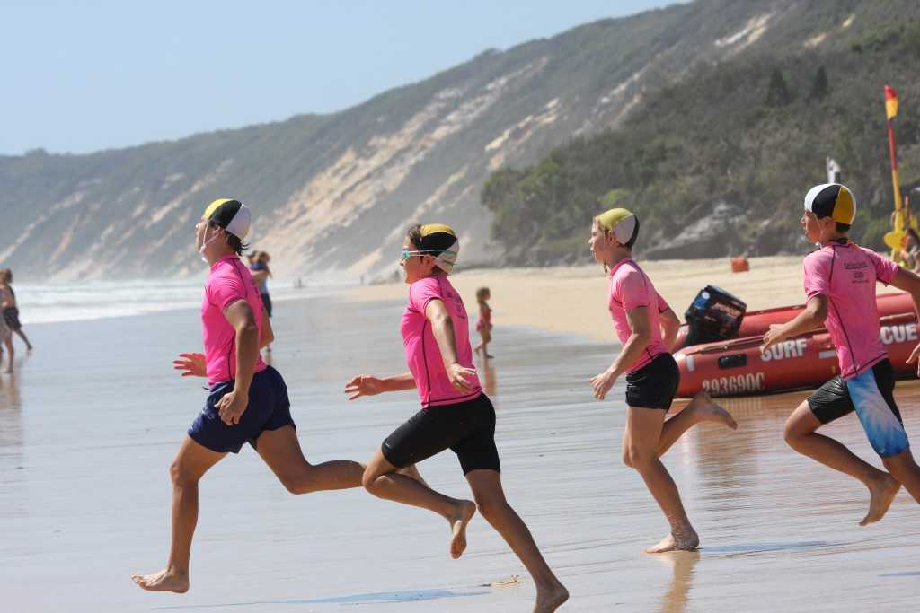 Nippers is almost here post image