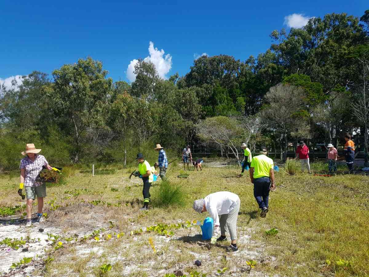 Community Gets Involved with the Tin Can Bay Boardwalk post image
