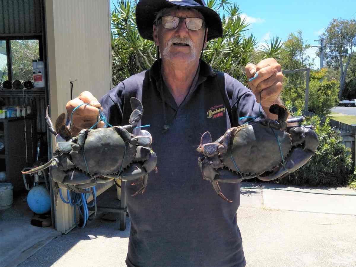 Tin Can Bay Fishing Club News February 2022 post image