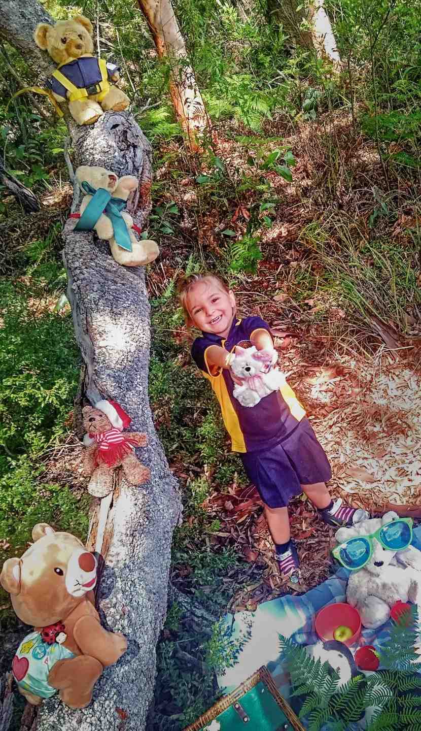 It’s a Teddy Bear's Picnic post image