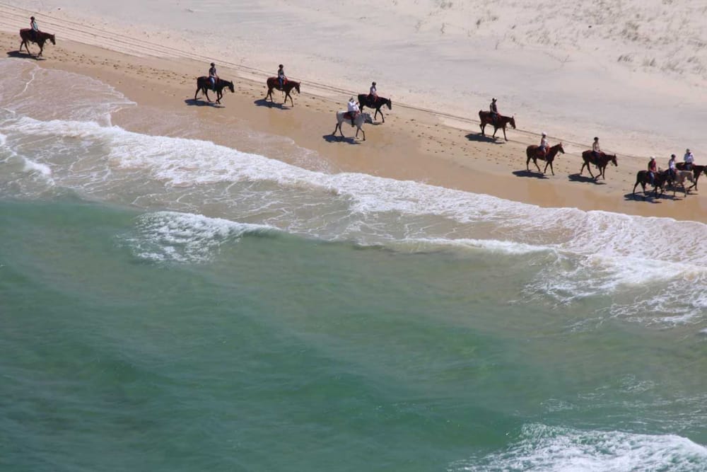 How Rainbow Beach has made the news… post image