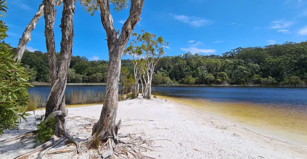 Prime National Park location for lease! post image