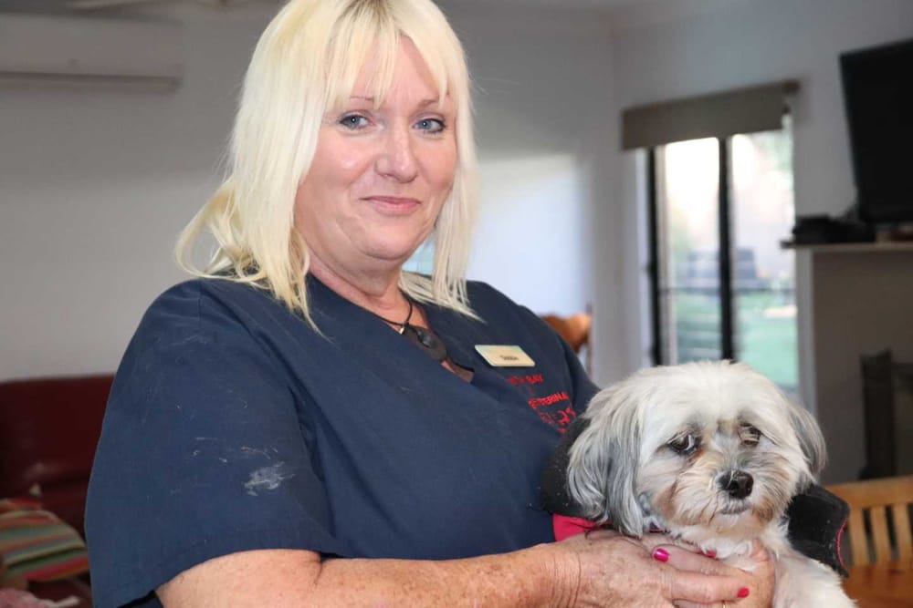 Mobile vet service in Rainbow Beach post image
